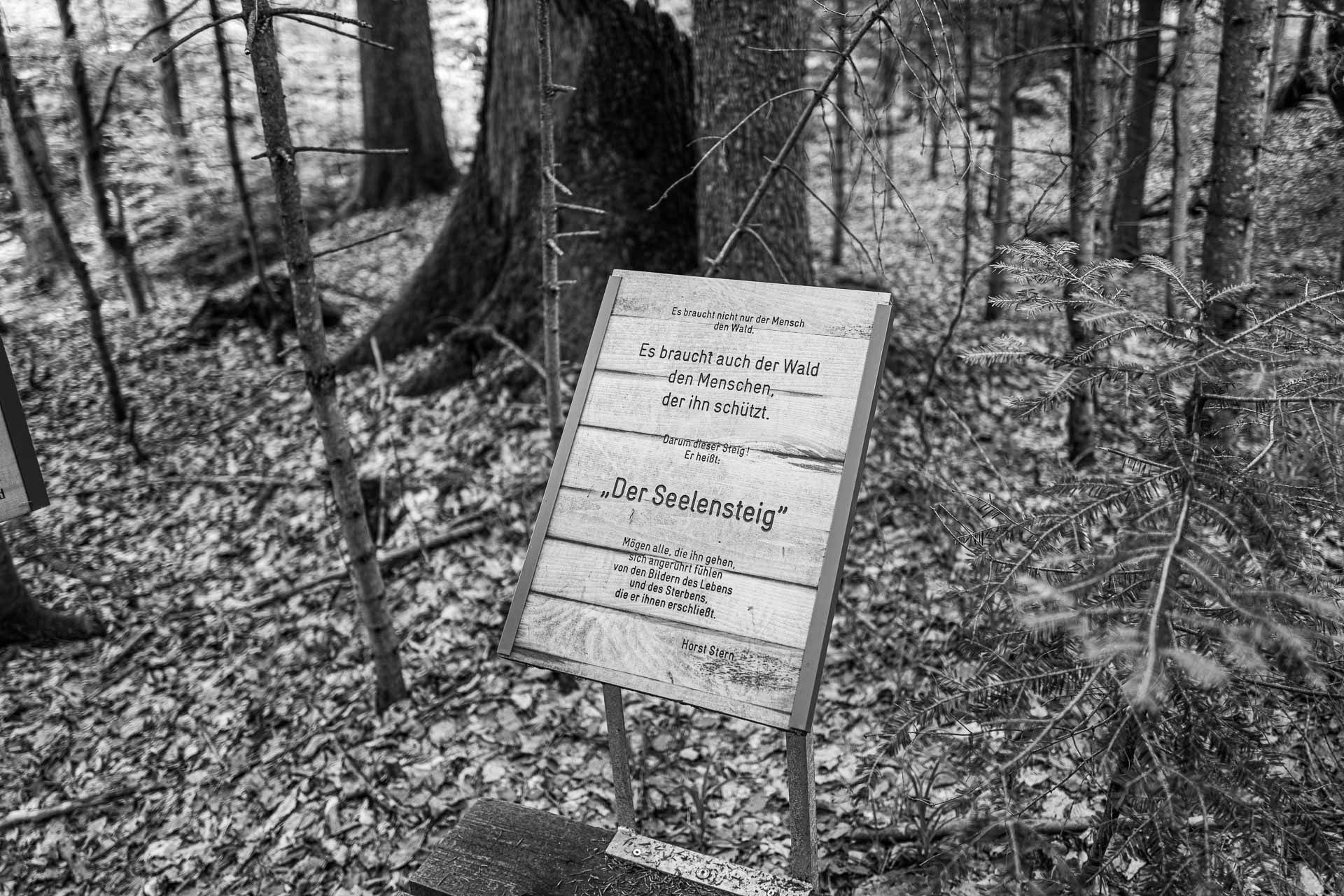 Holzstele mit Text von Horst Stern: "Es braucht nicht nur der Mensch den Wald. Es braucht auch der Wald den Menschen, der ihn schützt. Darum dieser Steig! Er heißt der Seelensteig. Mögen alle, die ihn gehen, sich angerührt fühlen von den Bildern des Lebens und des Sterbens, die er ihnen erschließt."