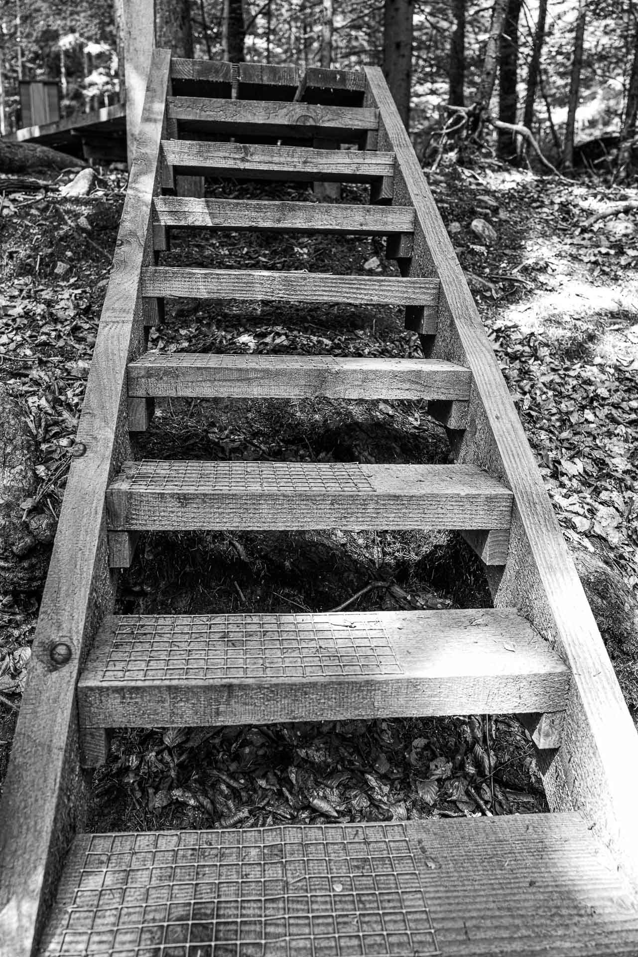 Auf hölzernen, steilen Stufen geht es hinauf. Zwei Drittel der Fläche ist mit Gitter belegt, der Rest ist für die Vierbeiner naturbelassen