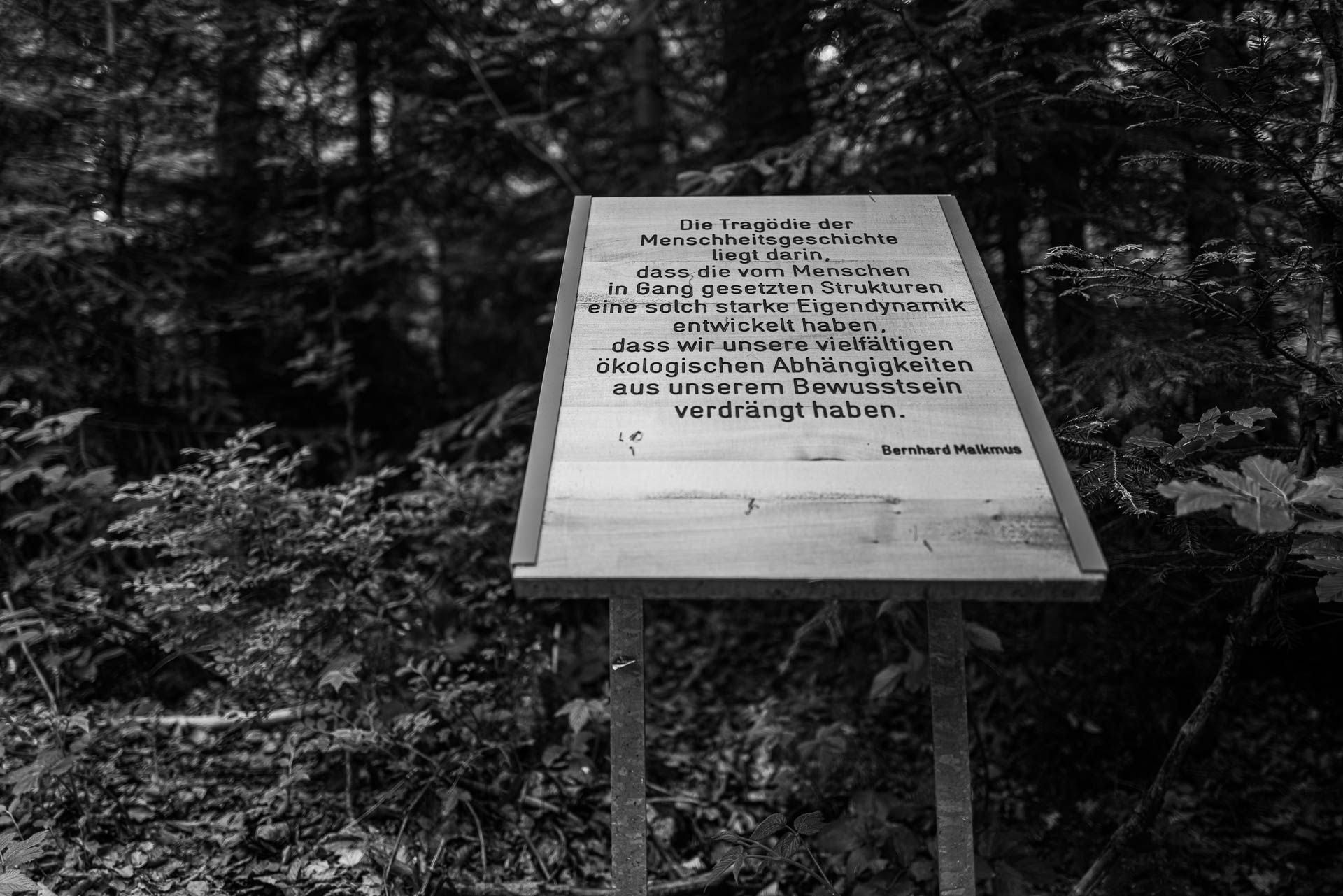 Zitat: "Die Tragödie der Menschheitsgeschichte liegt darin, dass die vom Menschen in Gang gesetzten Strukturen eine solch starke Eigendynamik entwickelt haben, dass wir unsere vielfältigen ökologischen Abhängigkeiten aus unserem Bewusstsein verdrängt haben." Bernhard Malkmus