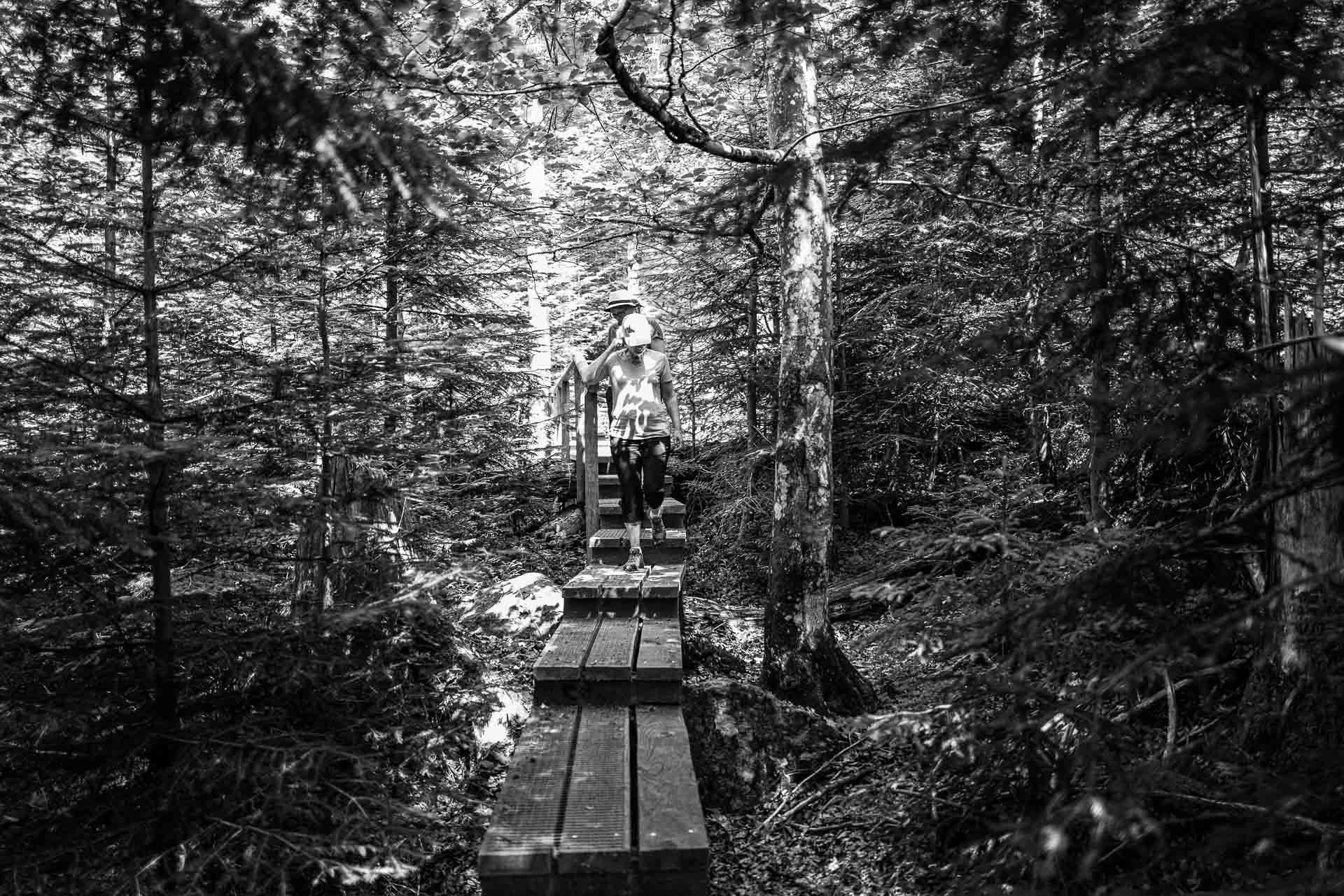 hier sind wir Menschen eins im Licht und Schatten mit dem Urwald