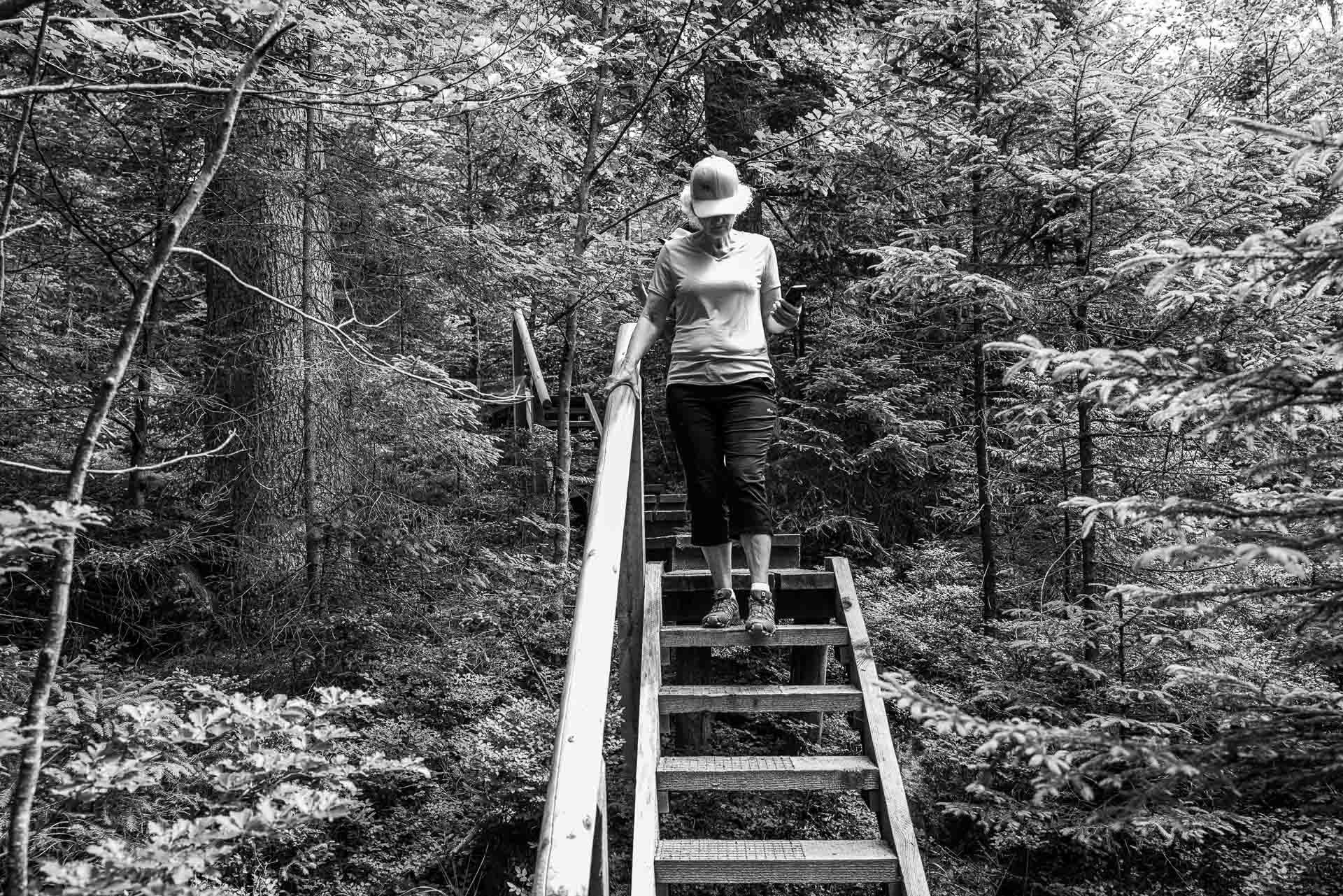 über hölzerne Stufen geht es hinunter zur nächsten Ebene