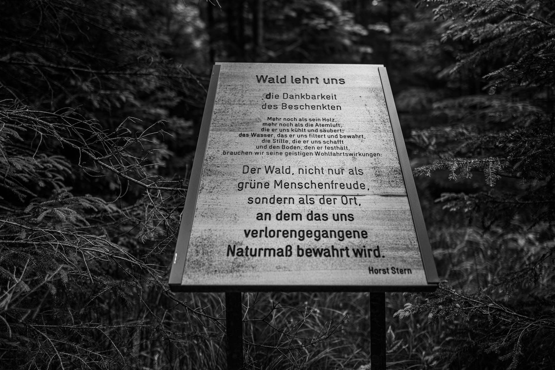 Zitat von Horst Stern: "Wald leht uns die Dankbarkeit des Beschenkten. Mehr noch als sein Holz, mehr noch als die Atemluft, die er uns kühlt und säubert, das Wasser, das er uns filtert und bewahrt, die Stille, die er uns schafft und den Boden, den er festhält, brauchen wir seine geistigen Wohlfahrtswirkungen. Der Wald, nicht nur als grüne Menschenfreude, sondern als der Ort, an das uns verlorengegangene Naturmass bewahrt wird."