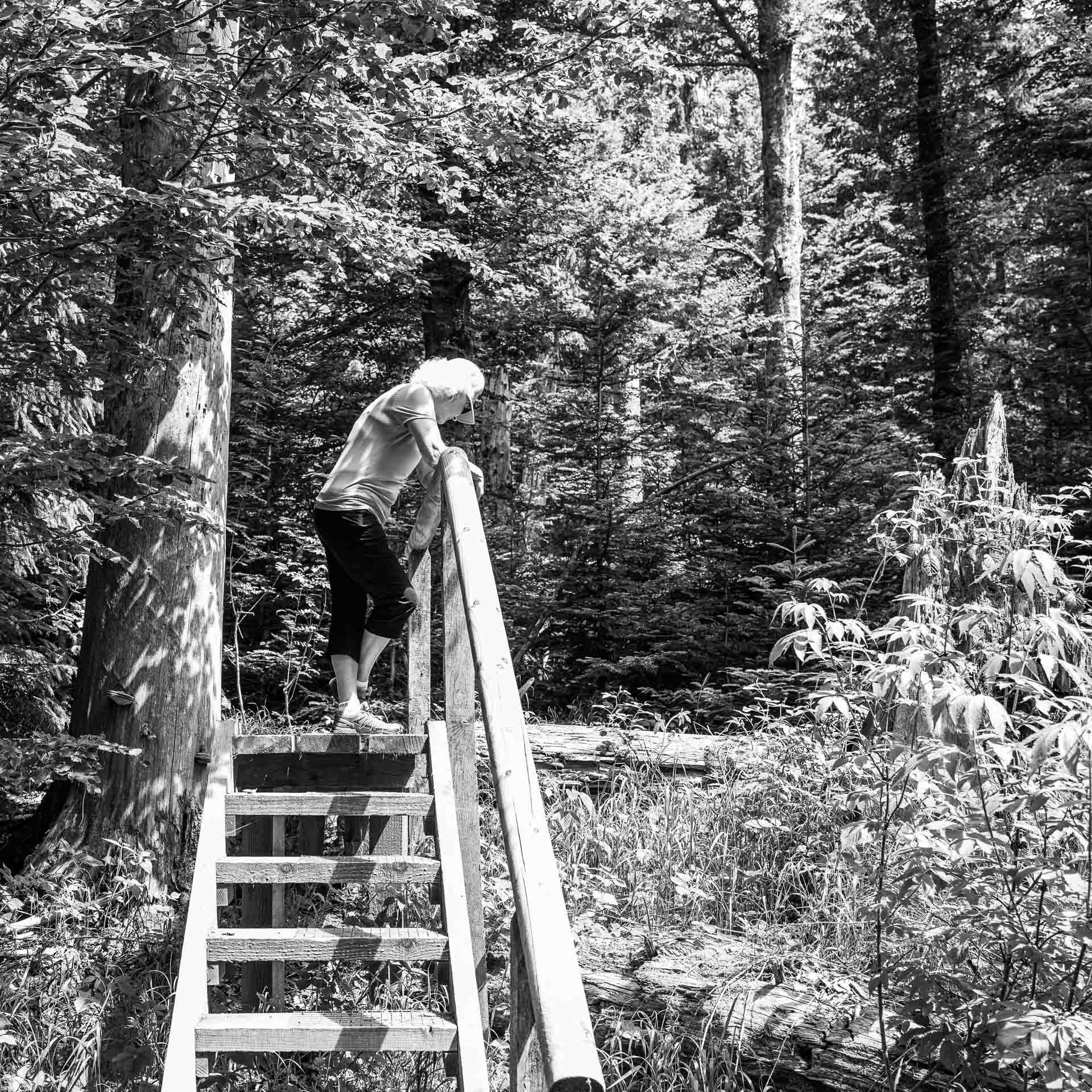 weitere fünf Stufen höher schweift unser Blick hinunter in den Urwald