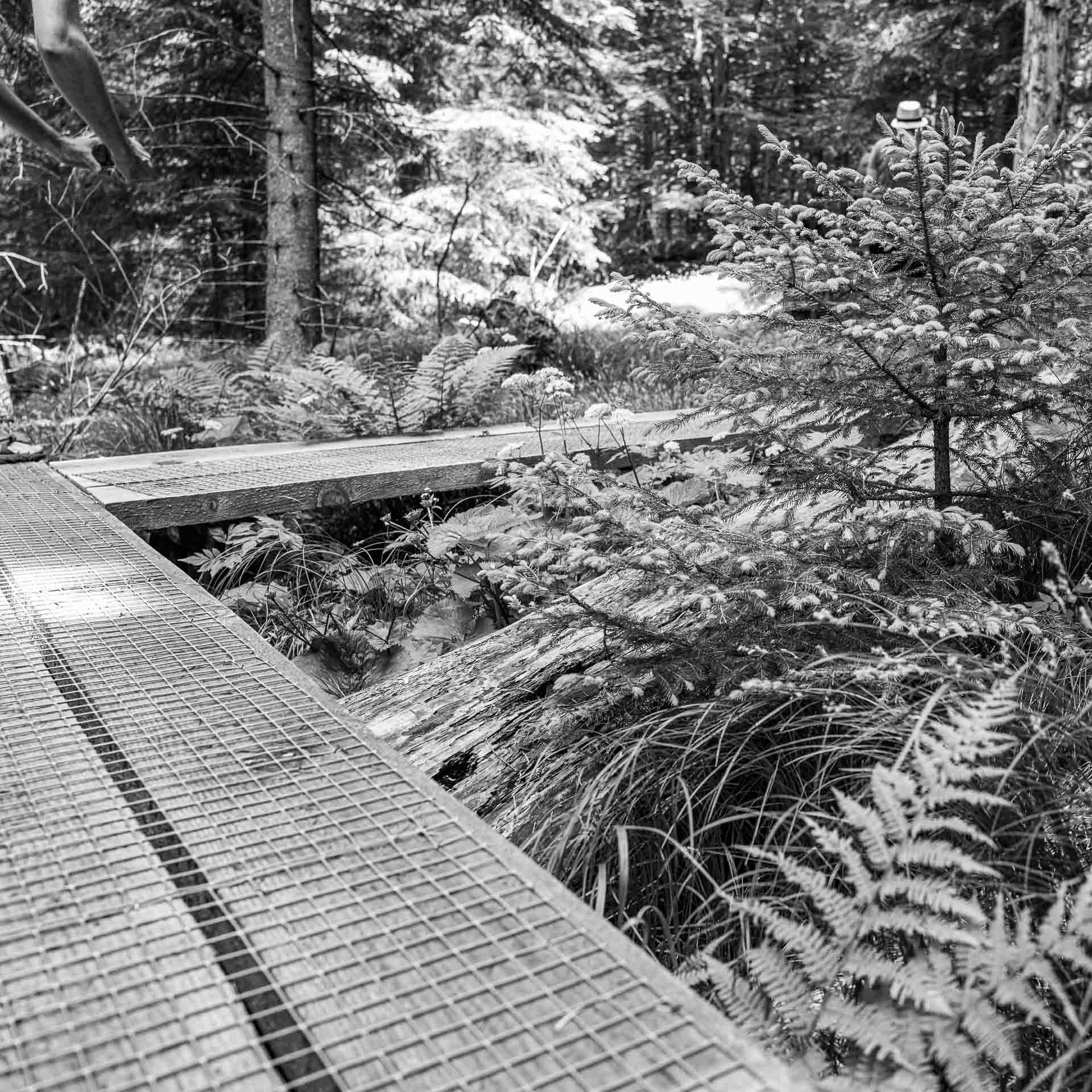 hier geht es scharf nach rechts weiter