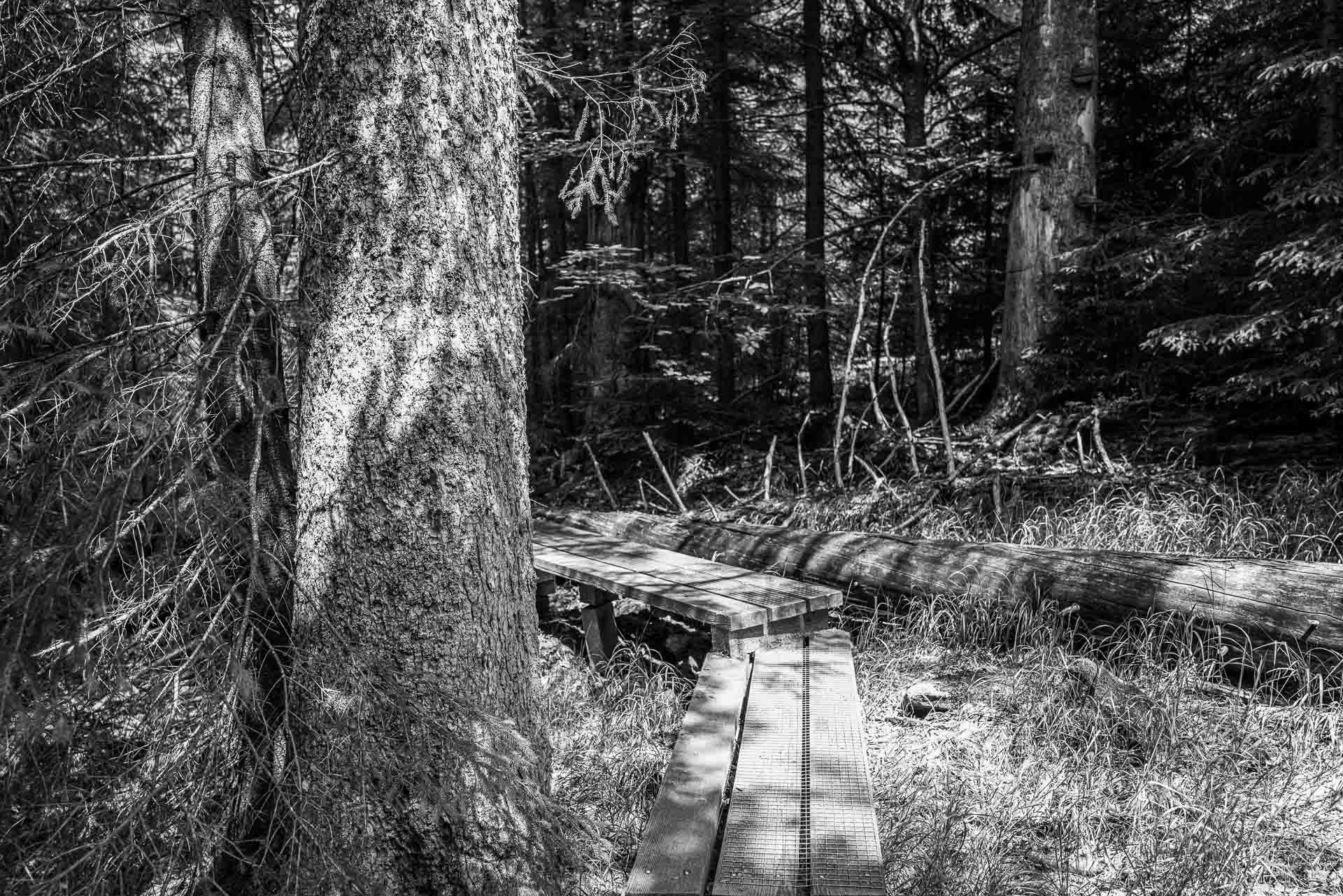 der Seelensteig biegt ab zwischen leben und sterben