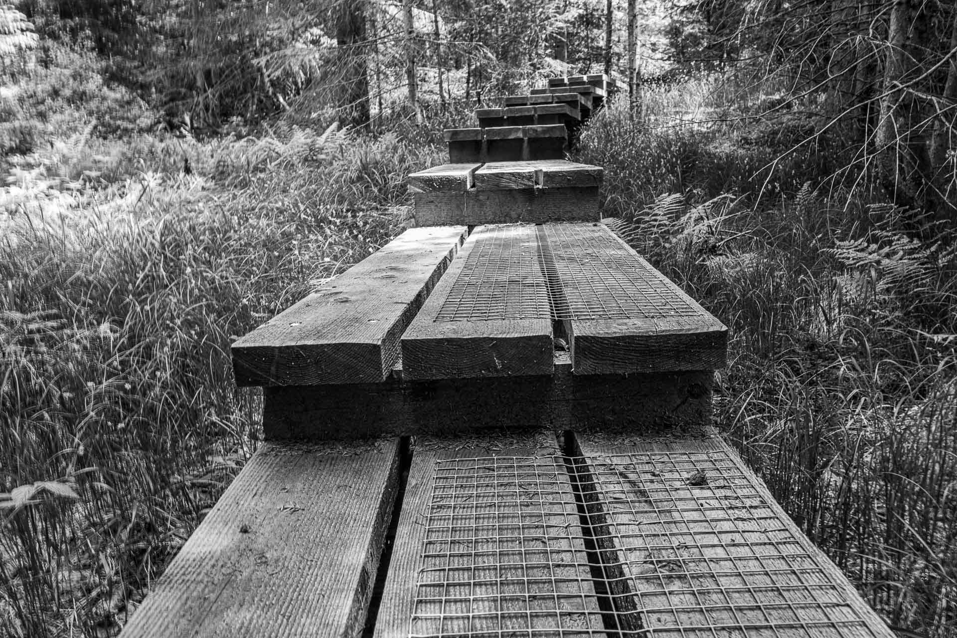 eingebettet in das hohe Gras steigt der Seelensteig Stufe an Stufe aufwärts