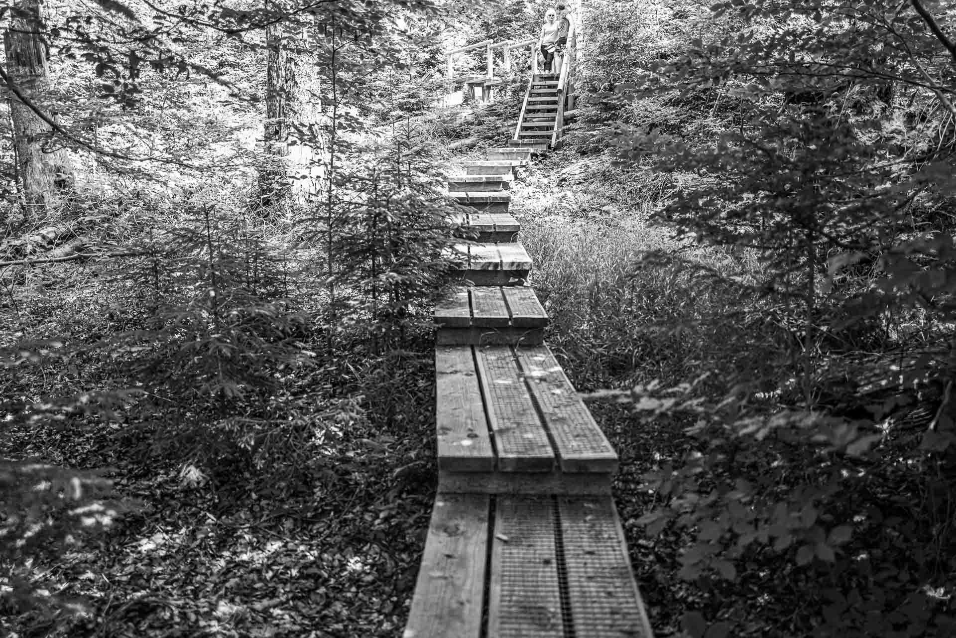 oben angekommen, nehmen wir uns eine kleine Pause