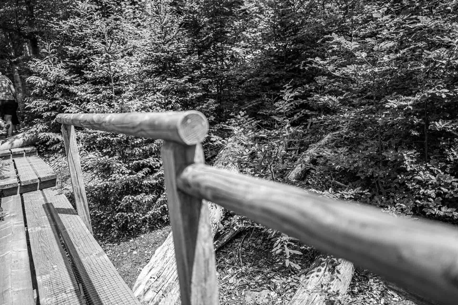 Geländer sichern deb Seelensteig an den höchsten Stellen