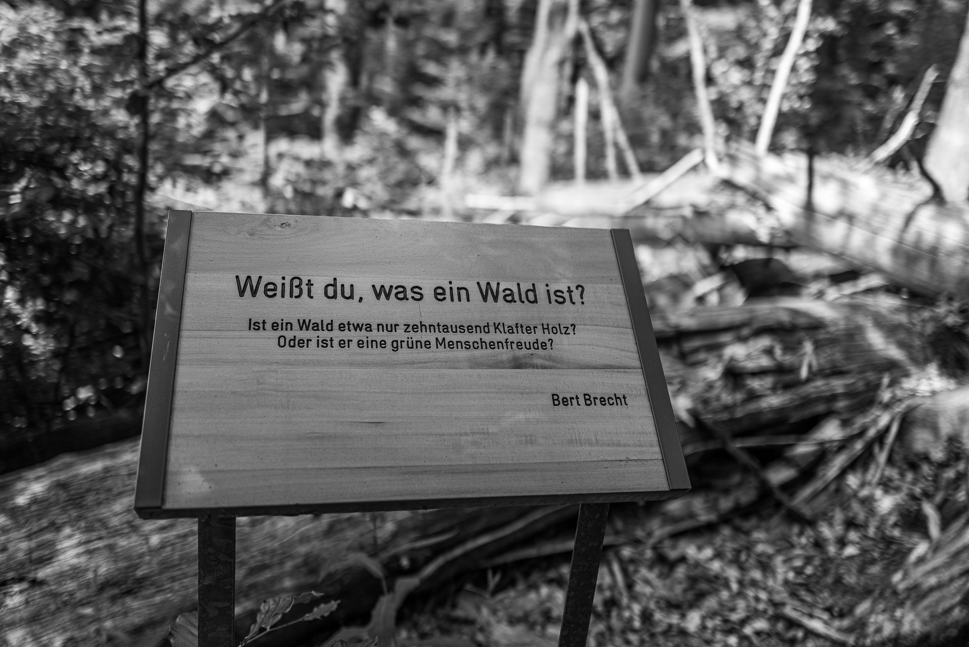 Zitat von Bert Brecht: "Weisst Du, was ein Wald ist? Ist ein Wald etwa nur zehntausend Klafter Holz? Oder ist er eine grüne Menschenfreude?"