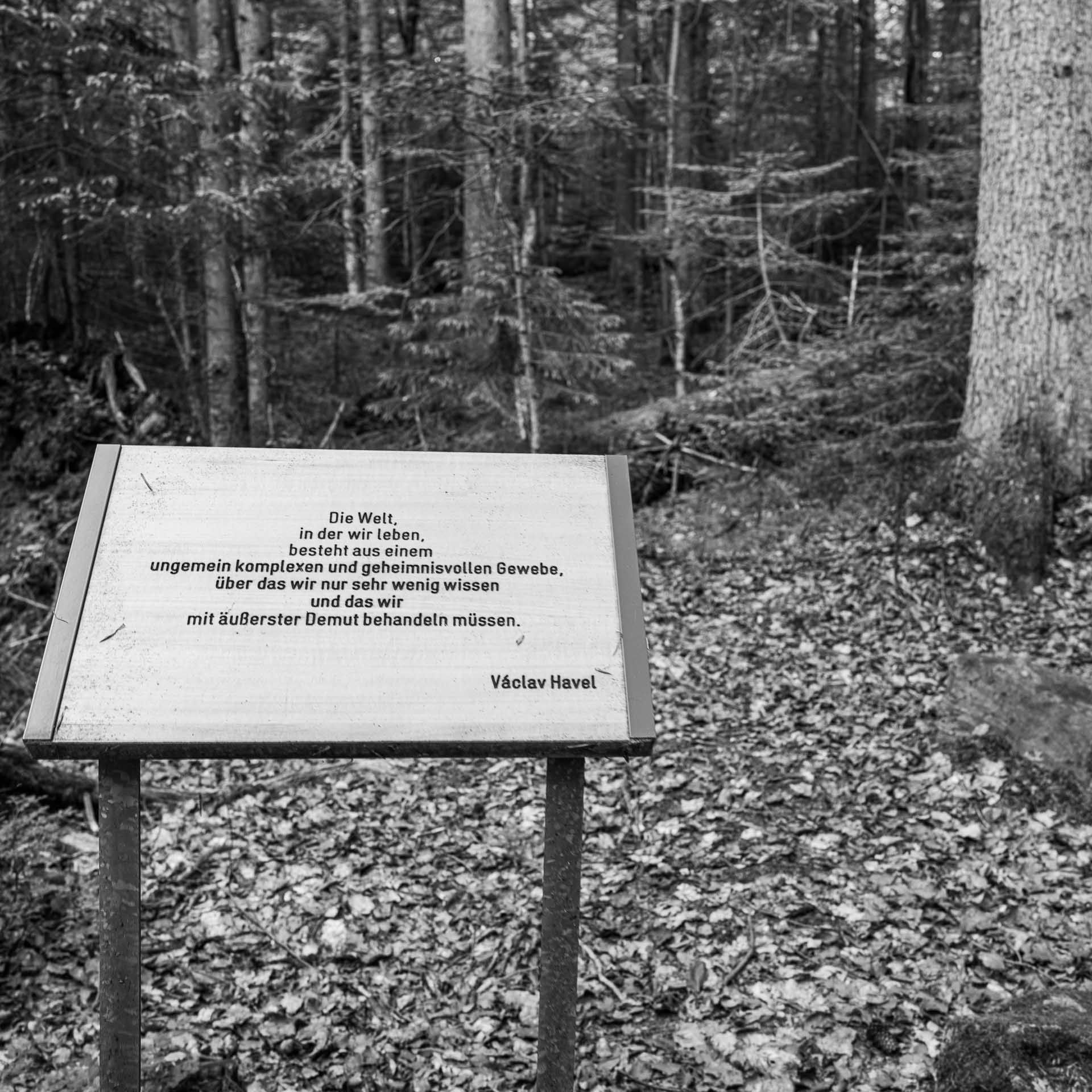 "Die Welt in der wir leben, besteht aus einem ungemein komplexen und geheimnisvollen Gewebe, über das wir nur sehr wenig wissen und das wir mit äußerster Demut behandeln müssen." Vaclav Havel