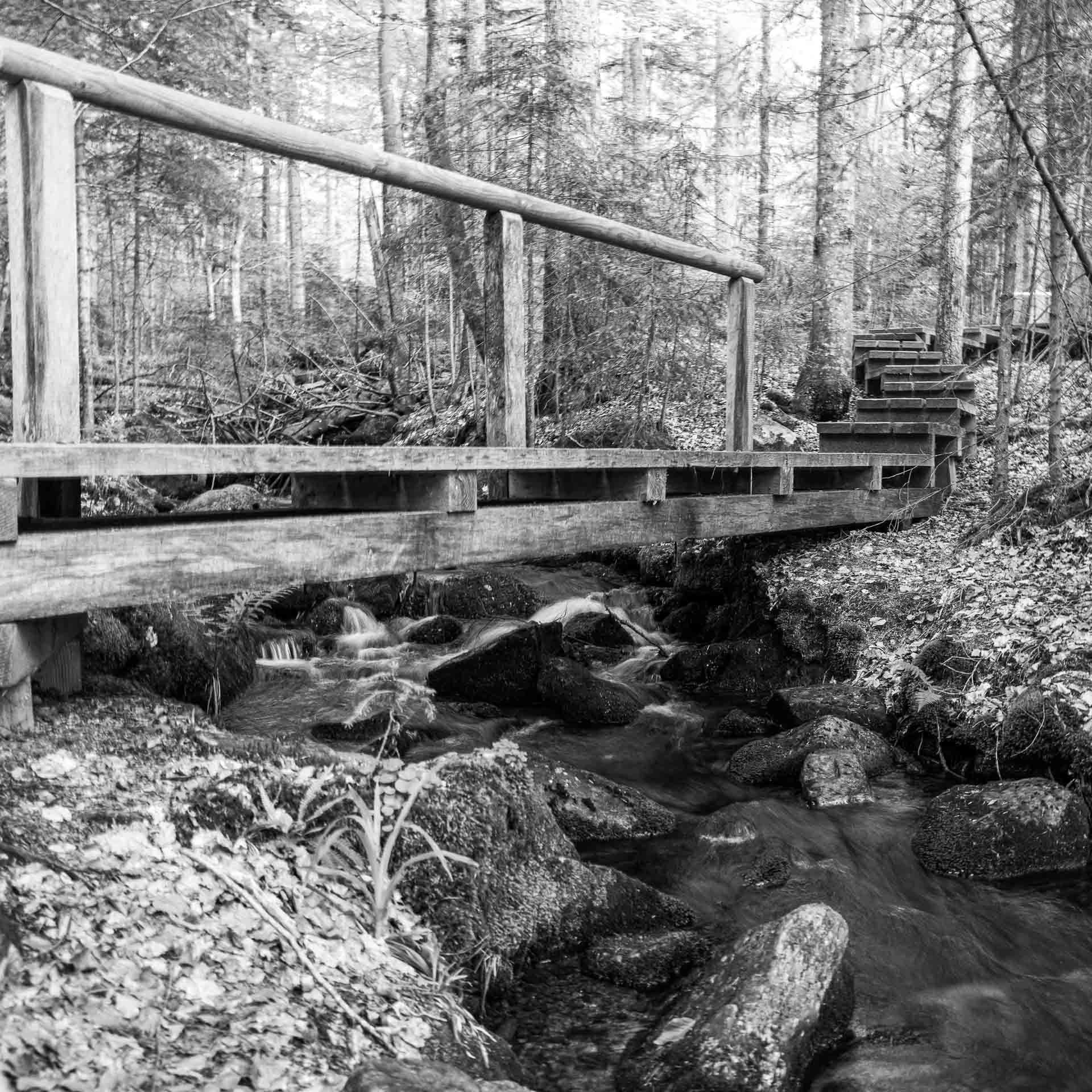 sanft gleiten die Stufen des Seelensteigs hinunter und der Weg führt uns über eine Brücke