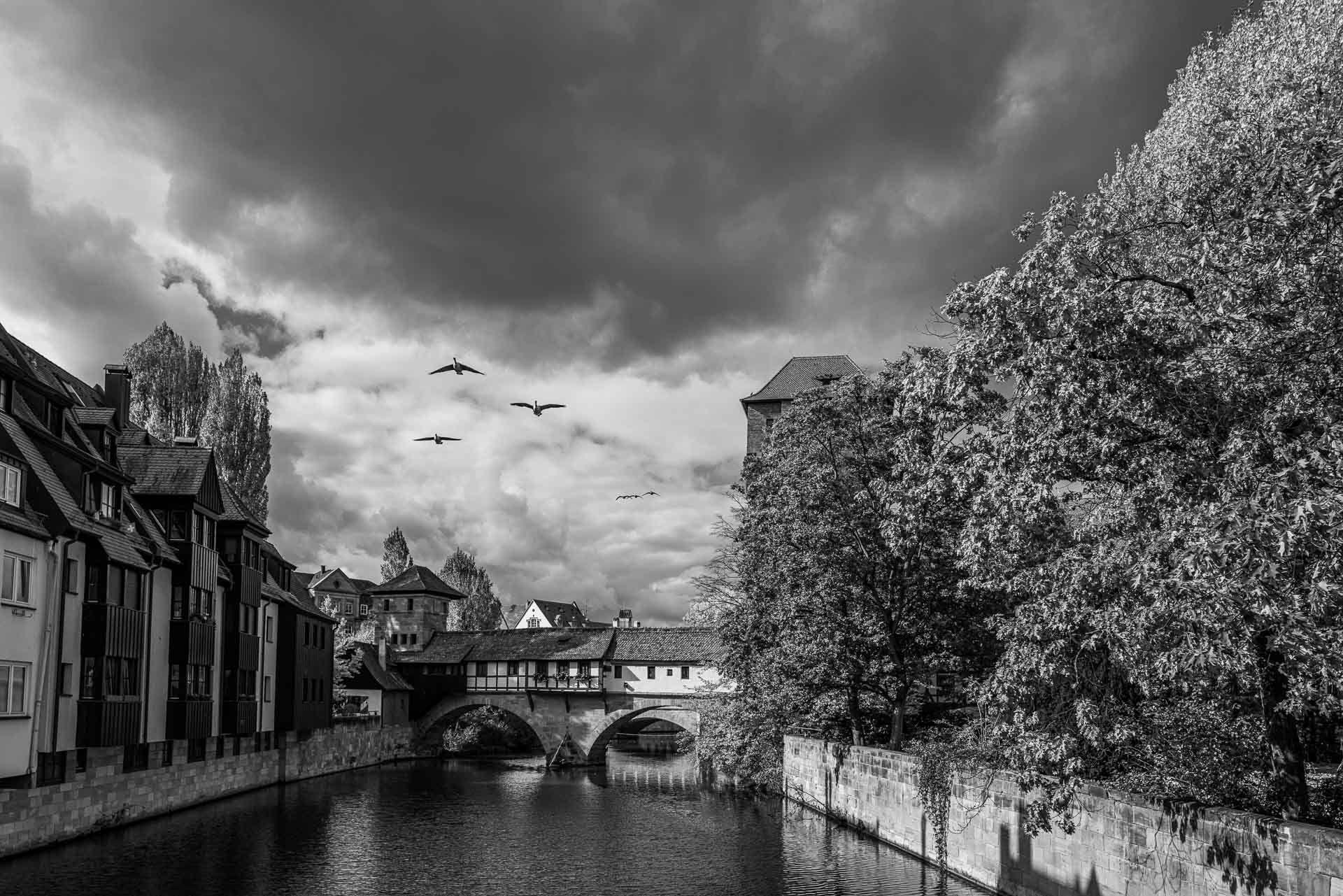 Wildgänse rauschen über das Brückenhaus des ehemaligen Nürnberger Henkers